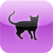 Cat Person